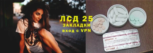 твердый Новозыбков