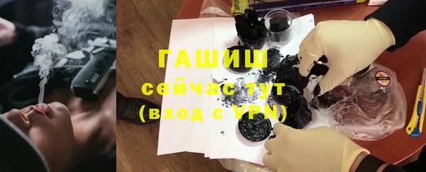 твердый Новозыбков
