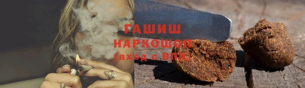 твердый Новозыбков