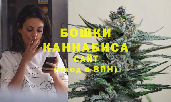 твердый Новозыбков