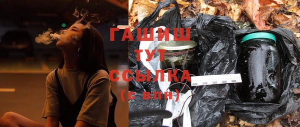 твердый Новозыбков