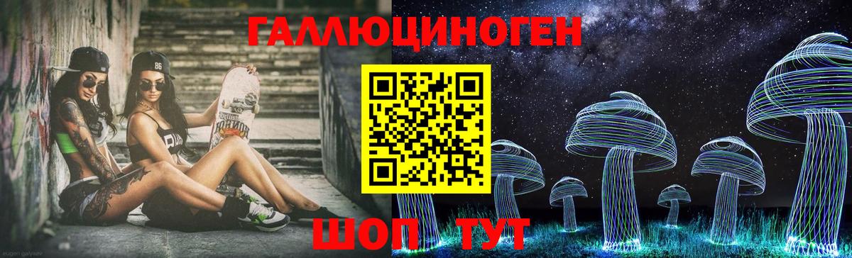 Искитим  Галлюциногенные грибы прущие грибы  Вход с VPN 