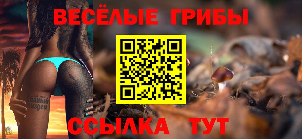 Галлюциногенные грибы Cubensis Искитим