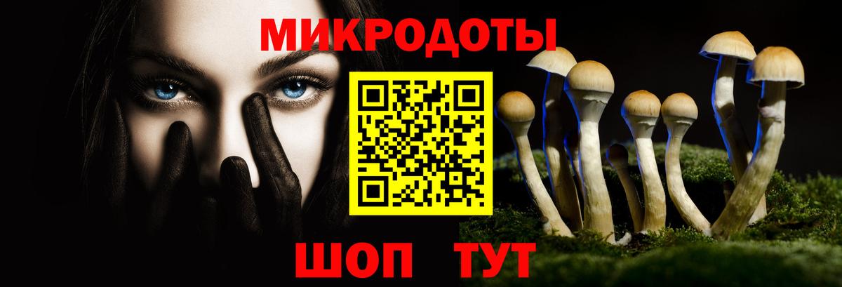 Галлюциногенные грибы мухоморы Искитим